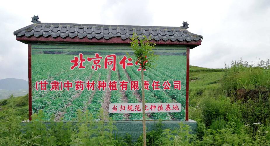 同仁堂投资筹资政策有何特点与风险?