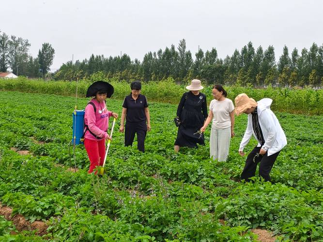 辽宁省中药材种植政策