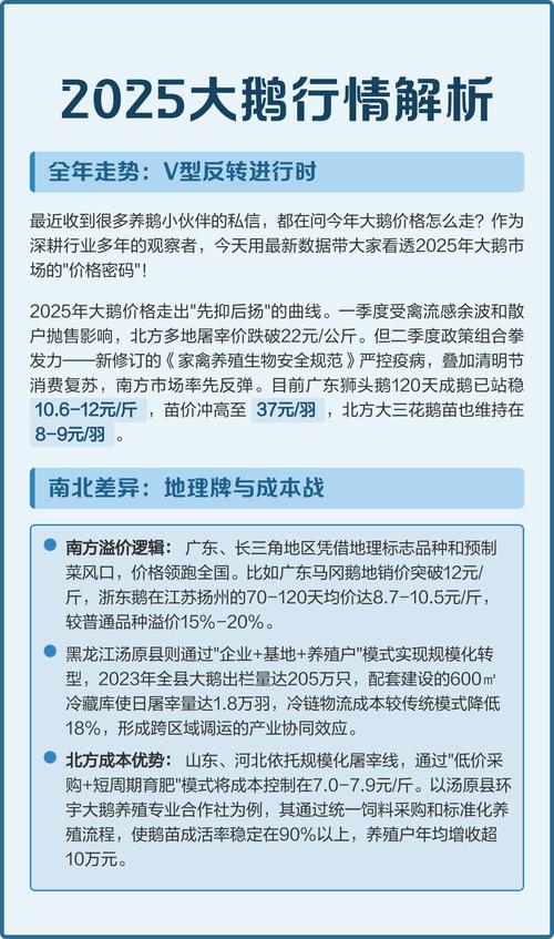 2025大鹅市场前景究竟如何？