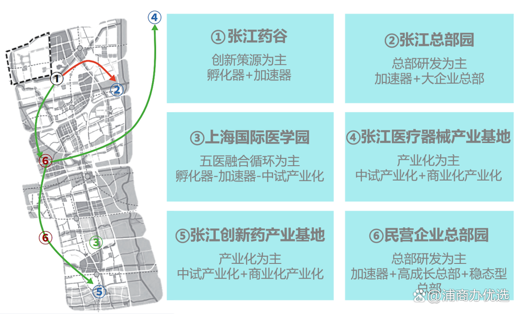 张江生物医药产业政策有何新动向？