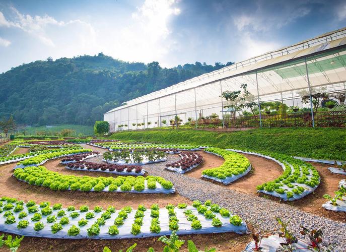 家庭农场市场前景究竟如何？