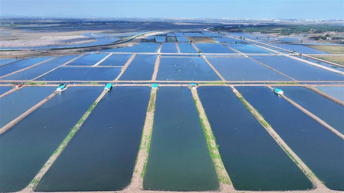 水产养殖项目前景如何？