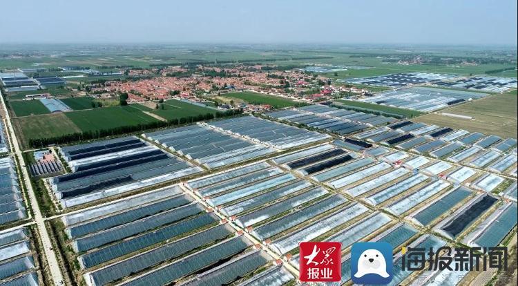 扶贫产业项目发展前景如何？