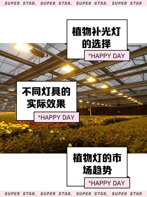 植物生长灯应用前景究竟如何？