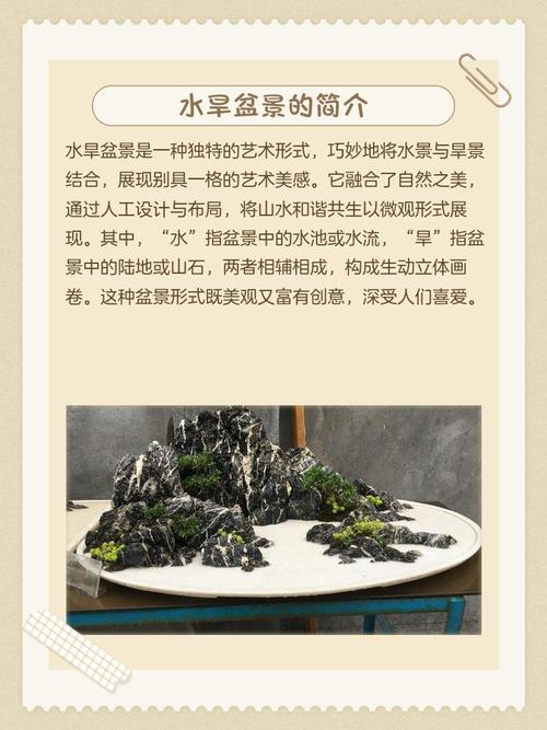 盆景发展前景如何？论文有何新见解？