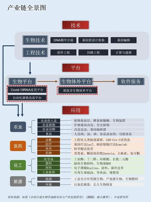 各国生物技术产业政策如何差异影响发展？