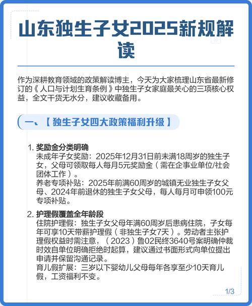 2025年节扎新政策具体有哪些变化？