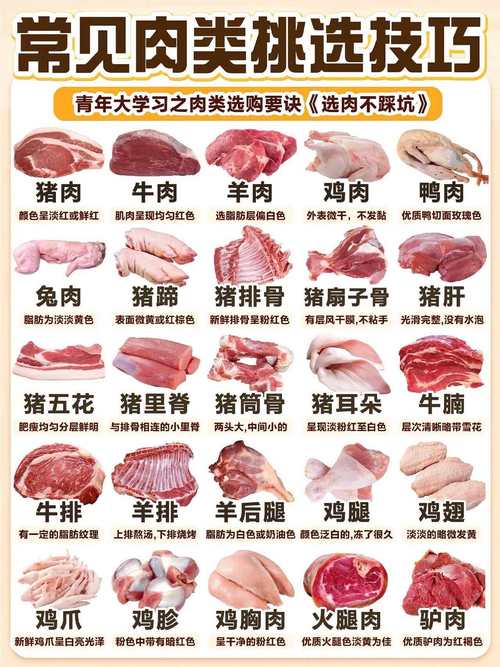 肉类行业政策将如何影响市场与消费者？