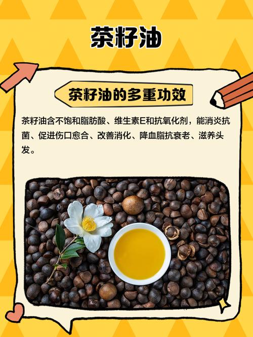 茶叶籽油前景究竟如何？