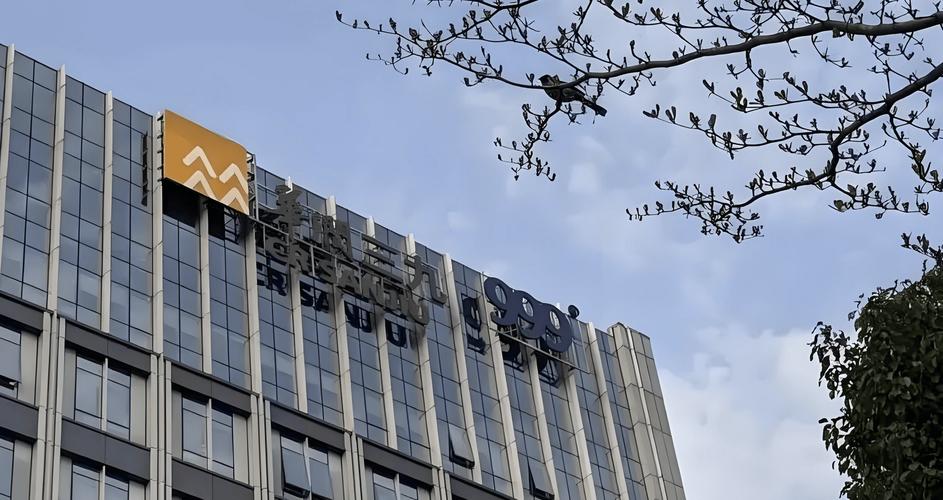 华润三九未来发展前景如何？