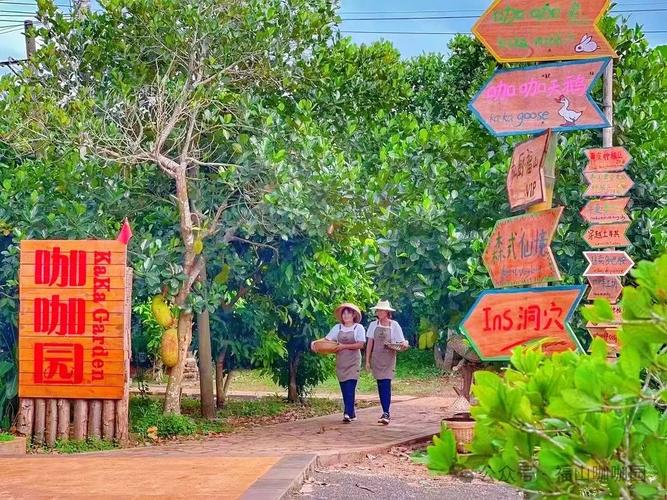 海南农家乐政策支持有哪些具体措施？