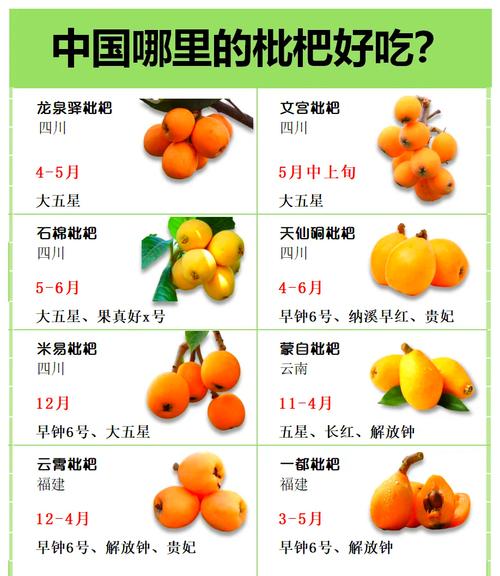 枇杷产业前景如何？