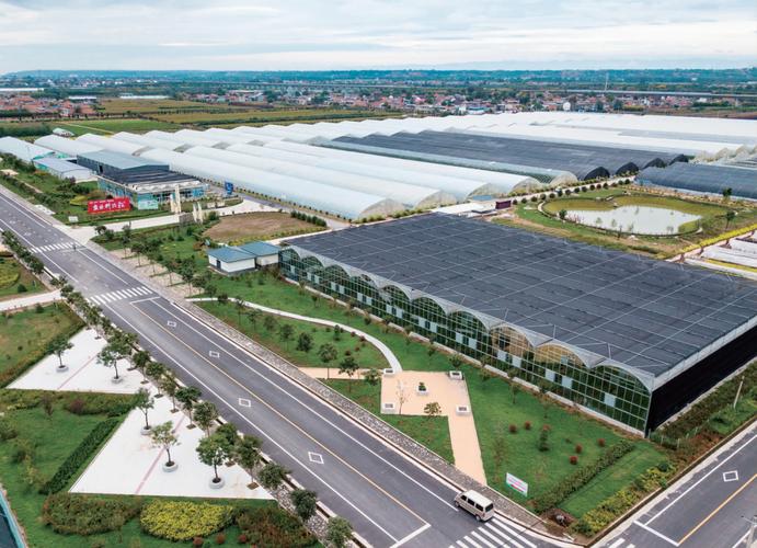 陕西农产品政策环境现状如何？