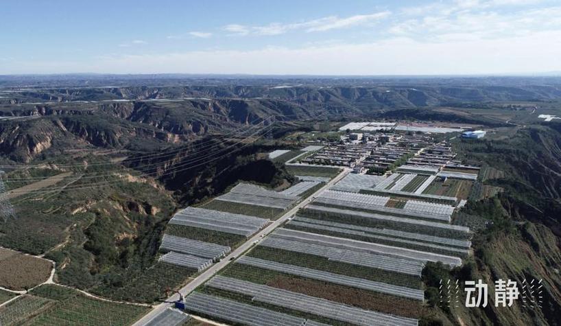 陕西农产品政策环境现状如何?