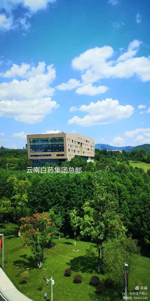 云南白药前景如何？