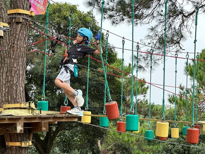 拓展乐园项目发展前景如何？