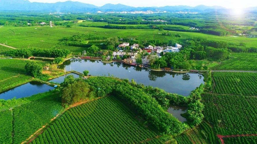 海南农业休闲发展前景如何?