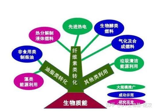 我国生物质能政策如何推动产业发展?