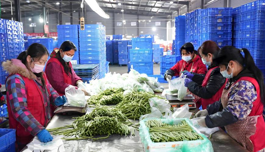 生鲜配送中心发展前景