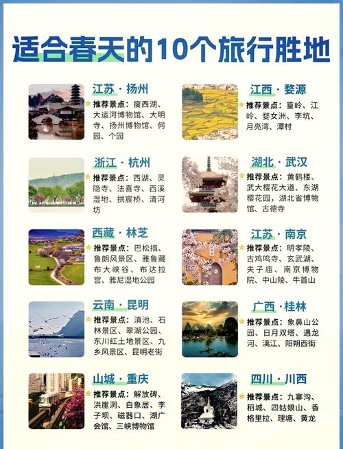 中国政策如何影响本土旅游发展?