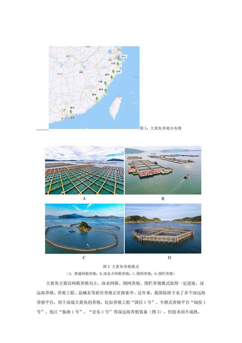 中国钓具行业前景如何?